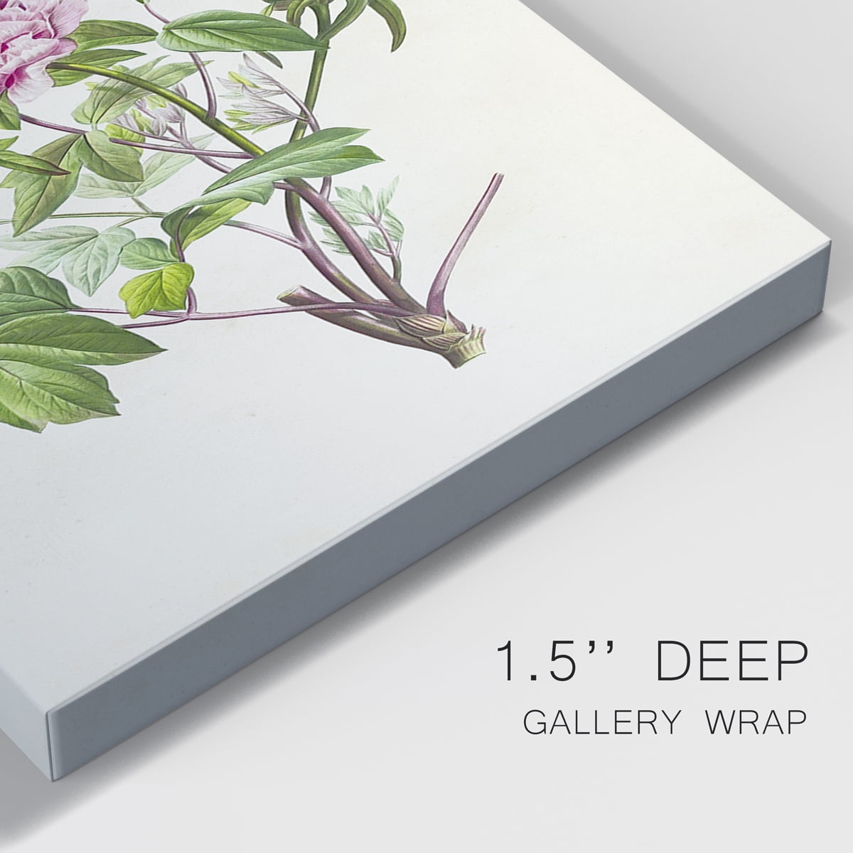 Pretty Pink Botanicals V Premium Gallery Wrapped Canvas - Ready to Hang - 18 x 27 Each