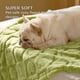 thumbnail image 2 of Manta para Perros Bedsure Lavable de Terciopelo Coral Esponjoso Verde, 2 of 9