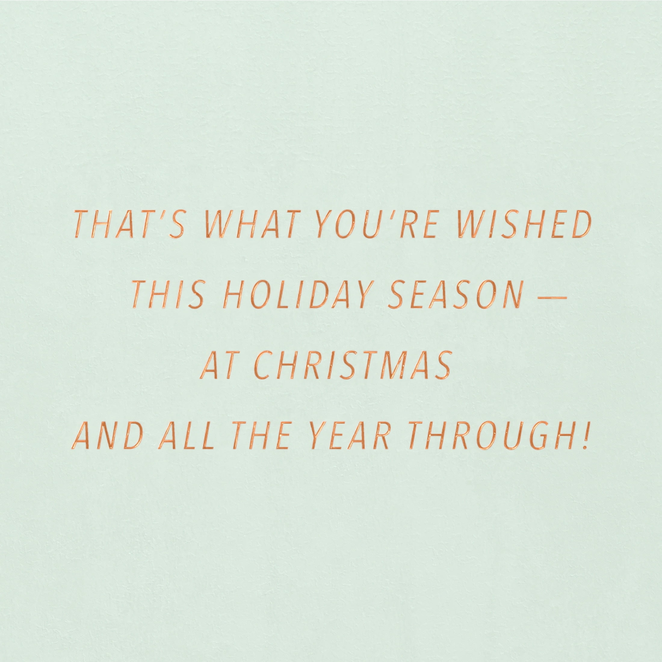 American Greetings Christmas Card (Wished This Holiday Season)