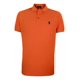 thumbnail image 1 of Playera Polo Club Of Berkshire. Varios Colores Y Tallas, 1 of 3