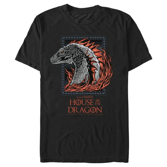 Men's Game of Thrones: House of the Dragon Fire Dragon Portrait Graphic Tee Black X Large