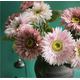 thumbnail image 5 of Xiao Hua 6 flores artificiales de crisantemo retro, flores falsas, flores artificiales para decoración de bodas, 5 of 5