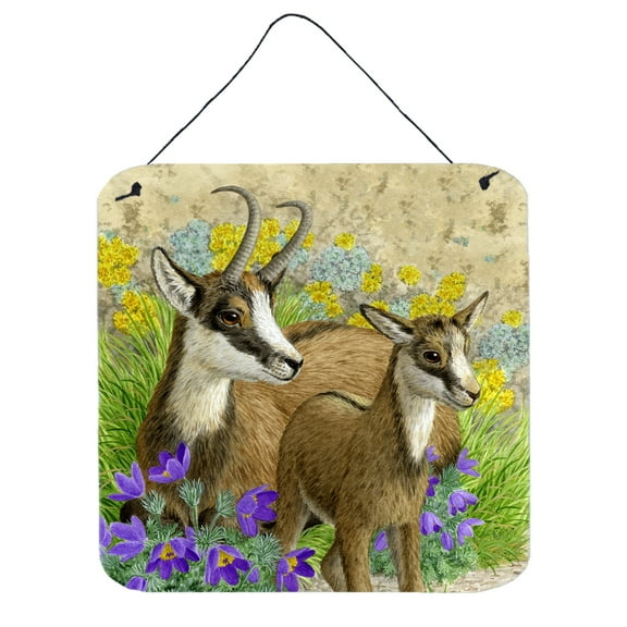 Chamois by Sarah Adams Wall or Door Hanging Prints