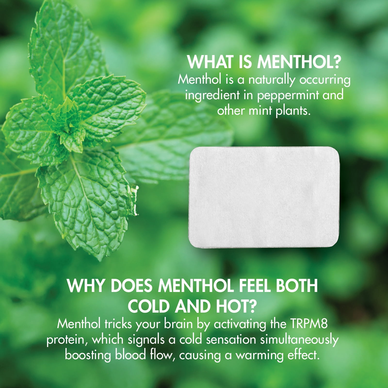 HealthWise Cold Hot Medicated Menthol Patch | 5% Menthol | Medium Size 4.8” x 3.2” | 15-Count | Paraben-free | Soothes Minor Aches and Pains | Focused Relief