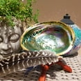 thumbnail image 3 of Natural Ocean Abalone Shell Conch Soap Holder Ashtray Craft Aquarium Diy Home Decoration, 3 of 11