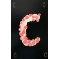 thumbnail image 3 of Erte "C" CUSTOM FRAMED Vintage Print Art Deco Alphabet Letter Suite Generic, 3 of 3