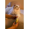 thumbnail image 5 of Accesorios de aseo para perros ecológicos, amoladora de uñas para mascotas, eléctrica, silenciosa, recargable, cortaúñas para gatos, 5 of 5
