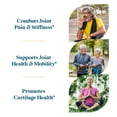 thumbnail image 4 of Pattern Wellness Glucosamine Chondroitin Complex with MSM & Hyaluronic Acid for Joints, 60 ct., 4 of 6