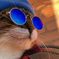 thumbnail image 4 of Funny Cute Dog Cat Retro Fashion Sunglasses Glasses Transparent Eye-wear Protection Puppy Cat Teacher Bachelor Glasses Pet Photos Props for Small Dog Cat, 4 of 8