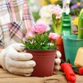 thumbnail image 2 of 50 Pcs 6 Inch Plants Nursery Reusable Plastic Seed Starting Pots, 2 of 5