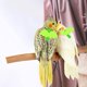 thumbnail image 3 of Diseño de entrenamiento ajustable antimordeduras, cuerda de nailon para pájaros con linda ala para loros, adecuado para escarlata, keck, mini guacamayo y pájaros del mismo tamaño (verde) JM, 3 of 5