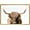 Brown, variant on PixonSign Highland Cow Framed Animal Portrait 36 in x 24 in Framed Photography Canvas Art Print, by PixonSign