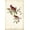 Unframed, variant on Art.com Common Cardinal Grosbeak Art Print by John James Audubon, 12" x 18"
