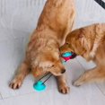 thumbnail image 2 of Pelota con fugas de comida para mascotas con sonido, juguete de limpieza Molar para perros, juguete rompecabezas blanco de silicona A With suction cup, 2 of 5