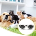 thumbnail image 4 of Greeniant 1 par de gafas de sol ABS para mascotas, plegables, informales, adorables, de Color sólido, para esquiar al aire libre, snowboard, Type3 NO3, 4 of 6