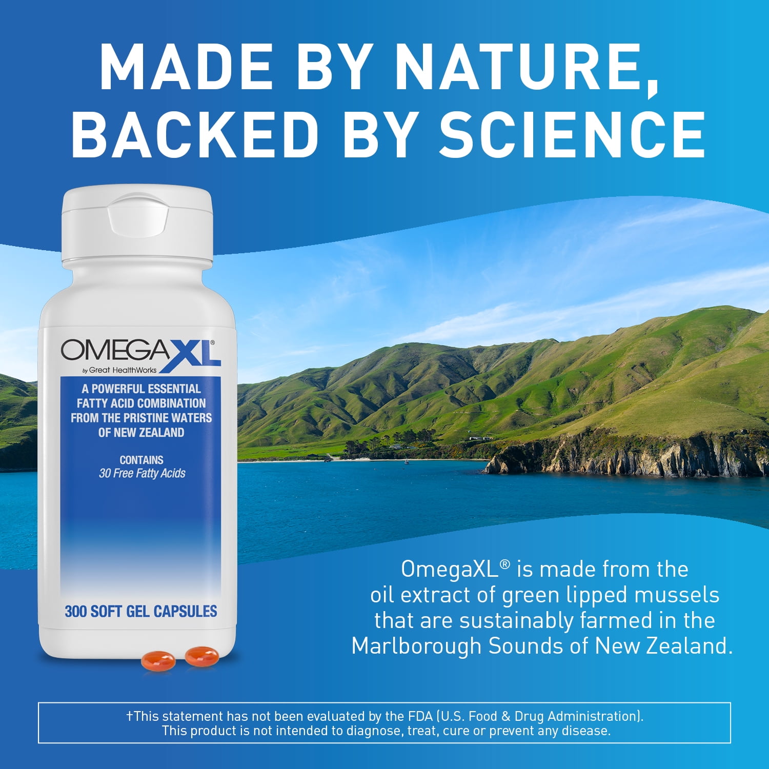Buy OmegaXL Support for Joint & Muscle Health, Mobility & Joint Pain