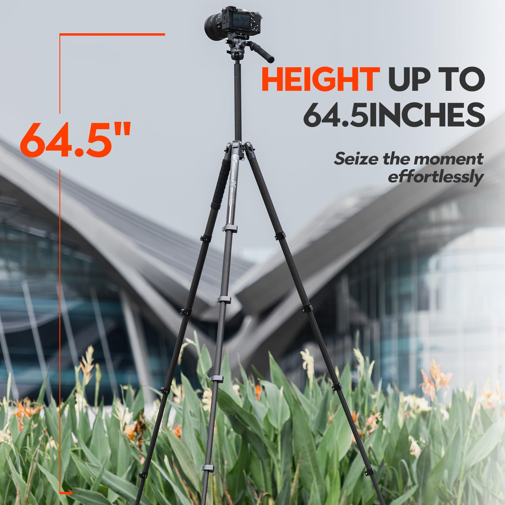 Fotopro X-Airfly Video 64.6" Carbon Fiber Tripod with Ball Head & Fluid Head, 5-Sec Lightweight Compact Camera Tripod Stand for Travel, Low Angel Shooting, Hidden Phone Clip, Max Load 10 lbs, Grey