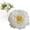 White, variant on 1 Pack 5'' Champagne Silk Peony Flower Heads, Peonies Artificial Flowers for Floral Arrangement DIY Craft Bridal Bouquets Wreath Garland, Fake Peonies Flower Heads for Wedding Decorations Home Decor