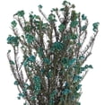 thumbnail image 2 of Vickerman 16" Blue Rice Flower.  Comes in an 8 oz Bundle. Preserved, 2 of 6