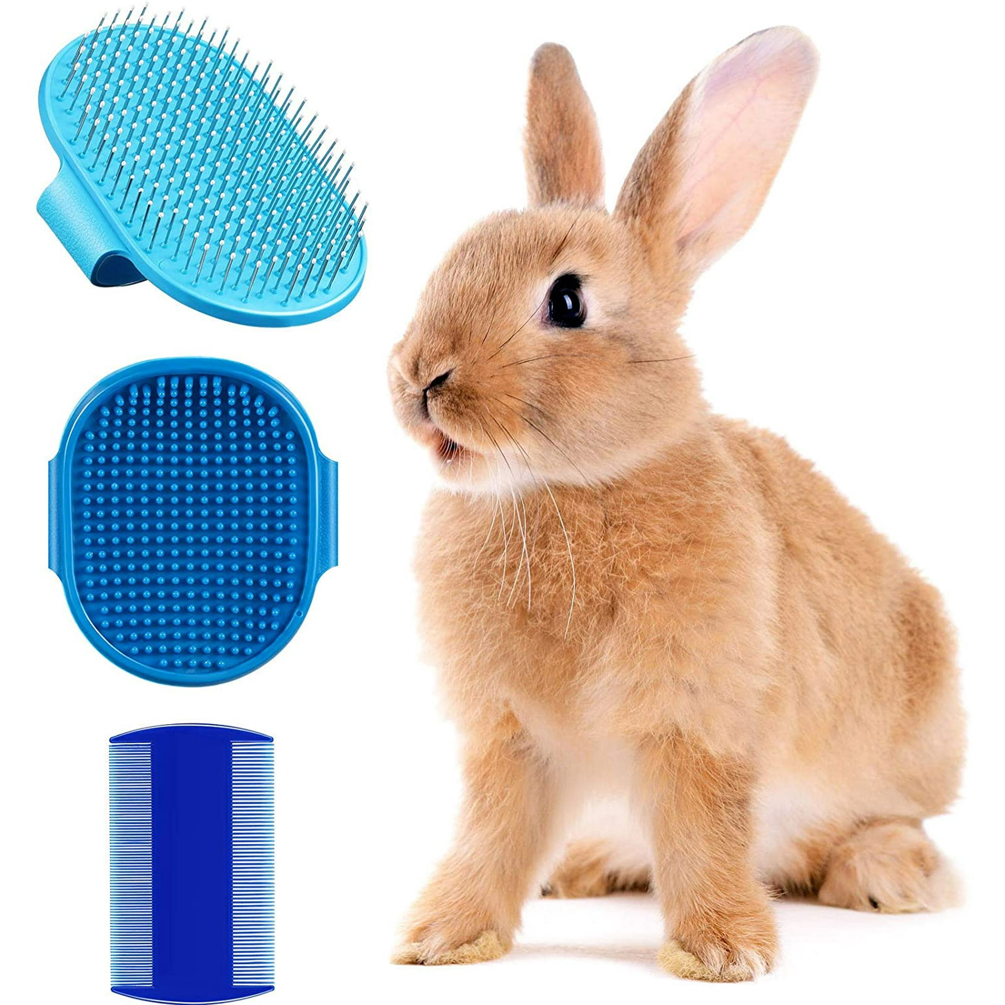 Guinea pig grooming kit online