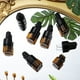 thumbnail image 4 of 30pcs 1ml Frascos cuentagotas de vidrio ámbar Viales de muestra transparentes Botella para gotas de aceite esencial Envase cosmético (Tapas negras), 4 of 7