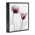 thumbnail image 2 of Stupell Industries Contemporary Minimalist Translucent Flowers Black Framed Giclee Art, 12 x 12, by Albert Koetsier, 2 of 7