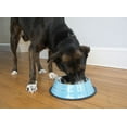 thumbnail image 6 of 2-Pack Color Splash Stripe Non-Skid Pet Bowl, For Dog or Cat, Blue, 96 Oz, 12 Cup, 6 of 8