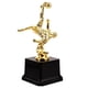 thumbnail image 1 of Delicate Soccer Trophy Athlete Trophy Gift Table Trophy Decor Soccer Athlete Trophy Cup Craft, 1 of 3