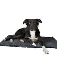 thumbnail image 2 of Scruffs Tapis de Séchage pour Chien Noodle, 2 of 3
