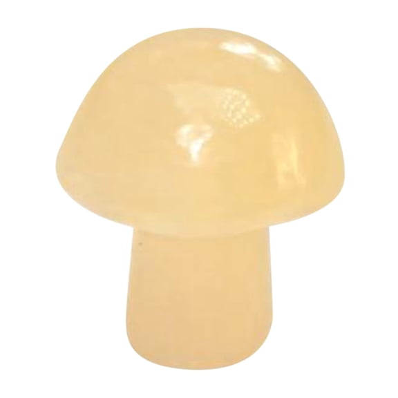 BNNG Crystal Mushroom Gemstone Sculpture Decor Carved Mini Crystal Mushrooms Polished Cute Mushroom Shaped Stones for Home Garden Decor Meditation Polished 0.81inch Perfect for Worry Stones