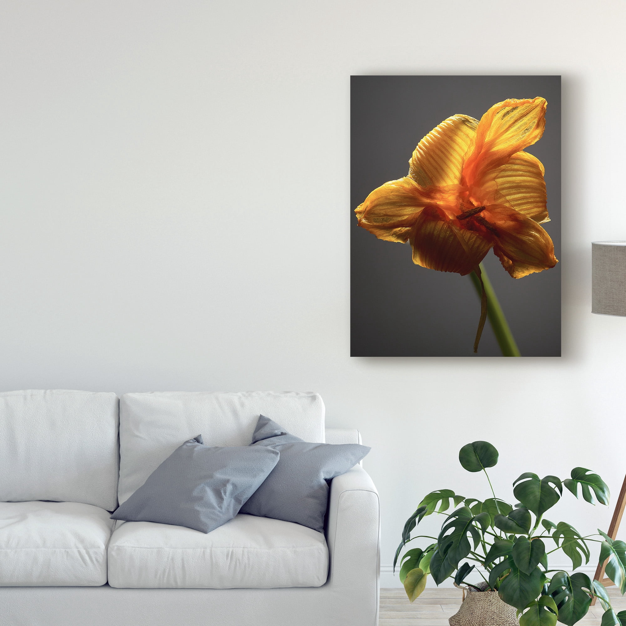 Trademark Fine Art 'Studio Flowers XI' Canvas Art by James McLoughlin