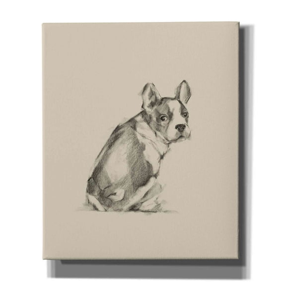 Epic Graffiti 'Puppy Dog Eyes IV' by Ethan Harper Canvas Wall Art, 20"x24"