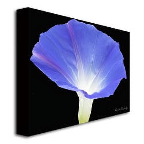 Trademark Art "Morning Glory" Canvas Wall Art by Kathie McCurdy
