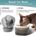Perfect for indoor cats this automatic stainless steel cat feeder and