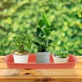 HOMEMAXS 4Pcs Rectangular Plant Saucers Plastic Plant Saucers Planter