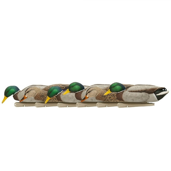 AVIAN-X Topflight Backwater Mallards Durable Ultra Realistic Floating Hunting Decoys, Pack of 6, AVX8070