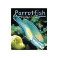 thumbnail image 1 of Pre-Owned Parrotfish (Hardcover) 0736802479 9780736802475, 1 of 1