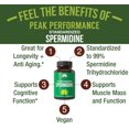 thumbnail image 2 of Spermidine Supplement Ultra High Strength Standardized to 99% Spermidine Trihydrochloride. More Potent Than Wheat Germ Extract. Vegan Capsules for Healthy Aging, Longevity. USA Tested Supplements, 2 of 7