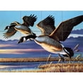 thumbnail image 1 of Tile Mural Kitchen Backsplash - Geese Dropping In-CF - by Cynthie Fisher, 1 of 1