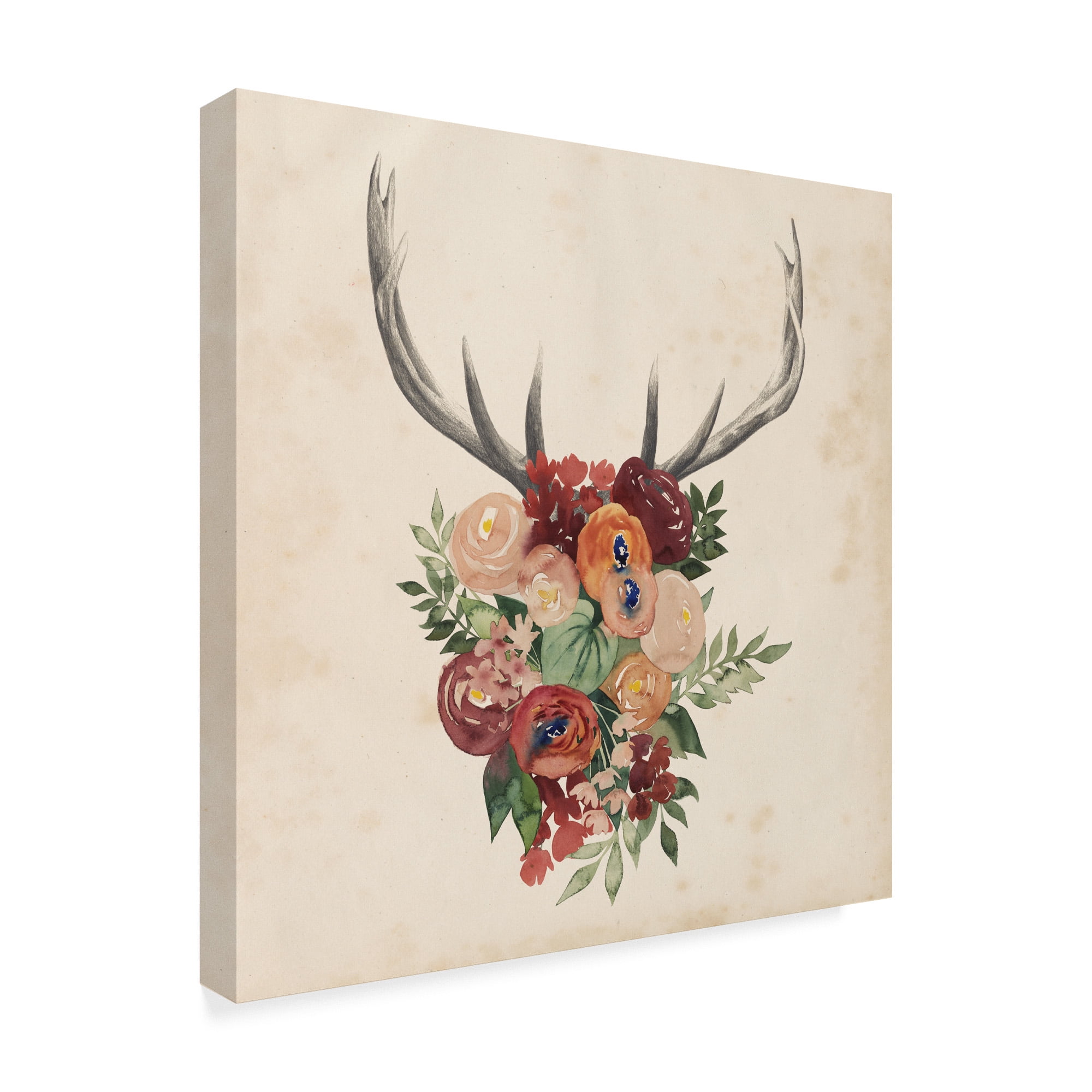 Trademark Fine Art 'Flower Antlers II' Canvas Art by Grace Popp