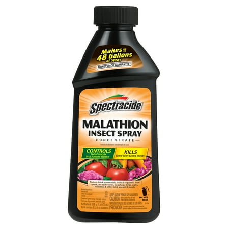 Concentrate Repellent Powder - Spectracide Malathion Insect Spray Concentrate, 16-fl oz