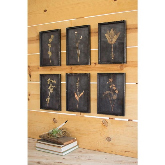 Kalalou Inc Set Of Six Botanical Prints Under Glass