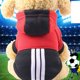 thumbnail image 1 of Ropa de invierno para perros, suéter de color contrastante, pequeño osito de peluche para gatos, suministros para mascotas, ropa, 1 of 6