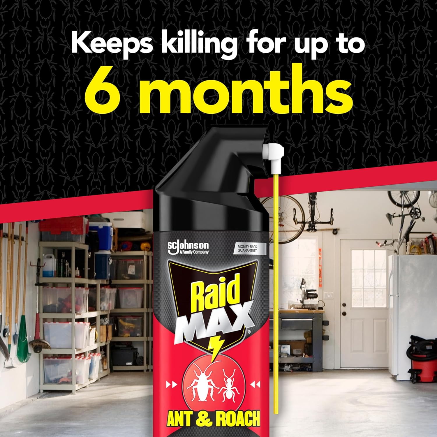 Raid Max Roach Insect Killer Aerosol Spray On Bugs - 14.5 Oz, 2 Pack