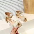 thumbnail image 2 of RKSTN Girls Sandals Rhinestone Pumps Chunky Block Heel Pointed Toe Ankle Strap Slingback French Style Summer Evening Host Shoes for 4-12 Years, 2 of 10
