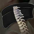 thumbnail image 5 of Plexora Neck - Plexora Neck Cervi-Posture Corrector, Three-Stage Brace, Soft Foam Cervical Collar, Ergonomic Design, 5 of 7