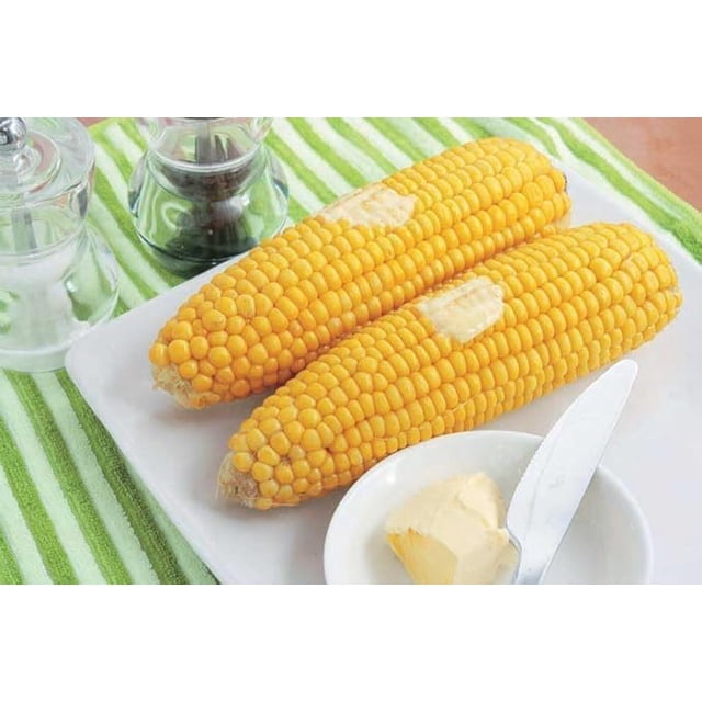 GSDWIUEW Graines de Maïs Patrimoniales, 10 Pcs, Rendement Élevé pour Jardins