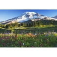 thumbnail image 2 of Mount rainier and wildflowers in a meadow mount rainier national park;Washington united states of america, 2 of 2