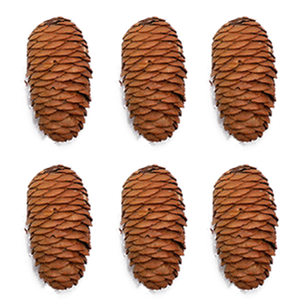 30pcs Cute Natural Dried Pine Cones In Bulk Dried Flowers for Xmas Decor 