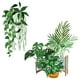 thumbnail image 1 of Injueey Pegatinas de pared de plantas verdes, papel tapiz de PVC, calcomanías autoadhesivas frescas, Mural de arte, telón de fondo, pegatina DIY para Decoración del hogar Injueey HA077479-00, 1 of 6